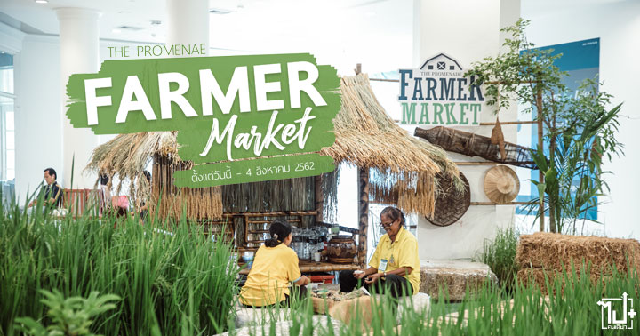 FarmerMarket2019 ThePromenade LetIsTakeAWalk เทศกาลพืชพรรณ สดจากสวนเสิร์ฟจากฟาร์ม สินค้าเกษตรอินทรีย์ ศูนย์การค้าเดอะพรอมานาดรามอินทรา