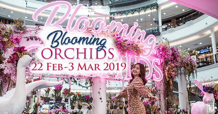 BloomingOrchids2019 BloomingOrchids Orchids ThePromenade ThePromenade งานกล้วยไม้ ศูนย์การค้าเดอะพรอมานาดรามอินทรา