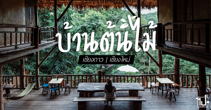 Drivemate, TreeHouseHideaway, Treehouseinchiangmai, ChiangMai , Homestay, บ้านต้นไม้แม่แมะ, แม่แมะ, บ้านแม่แมะ, รถเช่า, เช่ารถ, เชียงใหม่, ที่พักแม่แมะ, ที่พักเชียงดาว, ที่พักเชียงใหม่, ที่เที่ยวเชียงใหม่, โฮมสเตย์