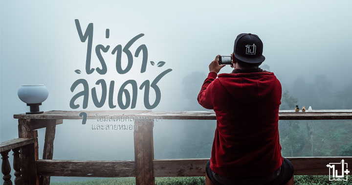 lungdat, Homestay, Chiangmai, Drivemate, ไร่ชาลุงเดช, โฮมสเตย์, เชียงใหม่, ที่พักเชียงใหม่ , ที่เที่ยวเชียงใหม่, แม่แตง, ที่พักแม่แตง, รถเช่า, เช่ารถ, รถเช่าเชียงใหม่