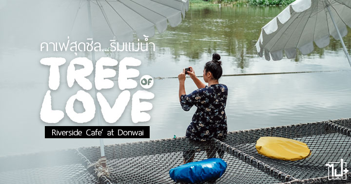 TreeofLoveRiversideCafe, Treeoflovedonwai, TreeofLove, Donwai , NakhonPathom, SamPhran, Cafe, ต้นไม้แห่งความรัก, ดอนหวาย, คาเฟ่สามพราน, คาเฟ่ดอนหวาย , ตลาดดอนหวาย, วัดดอนหวาย, นครปฐม, สามพราน, คาเฟ่, ร้านน่านั่ง