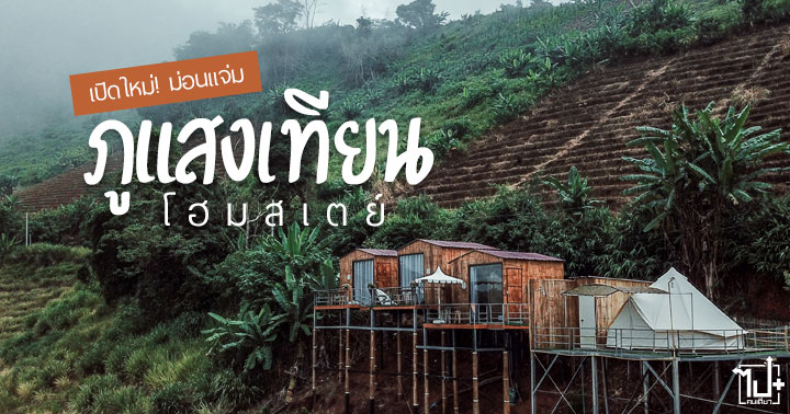 ภูแสงเทียนโฮมสเตย์, ภูแสงเทียน, โฮมสเตย์, ม่อนแจ่ม, เชียงใหม่, ที่พักม่อนแจ่ม, ที่พักเชียงใหม่, ที่พักเปิดใหม่, รีวิวม่อนแจ่ม , ที่พักแม่ริม, นอนเต็นท์ม่อนแจ่ม, รีวิวเชียงใหม่, Phusangtien, PhusangtienHomestay, maerim, monjam, Chiangmai , Homestay