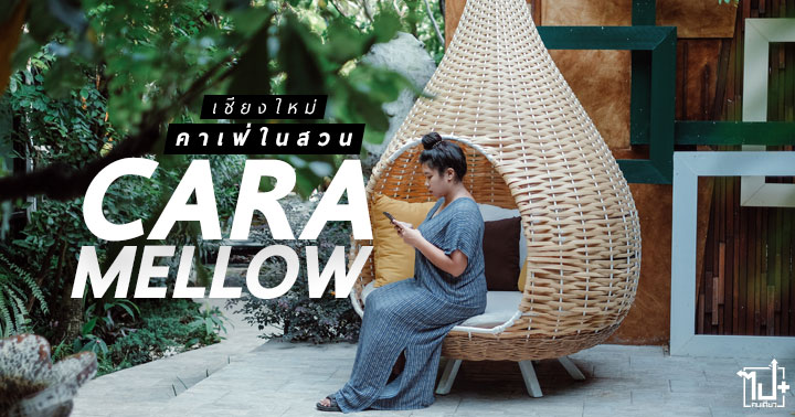 คาราเมลโล, คาราเมลโล, คาเฟ่, เชียงใหม่, ที่เที่ยวเชียงใหม่, คาเฟ่เชียงใหม่, ร้านน่านั่ง, Chiangmai, caramellowcafe , caramellow, caramellowcnx, cafecnx, cafeyouneed, garden, cafe, homemade, brioche, afternoontreat , bruleefrenchtoast, cafehoppingcnx, cafehopper, cafehoppercnx, adayinchiangmai, coffee, cake