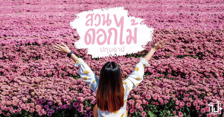 #สวนดอกไม้ #สวนดอกไม้ปทุมธานี #ปทุมธานี #สวนดอกไม้ใกล้กรุงเทพฯ #ทุ่งสวรรค์