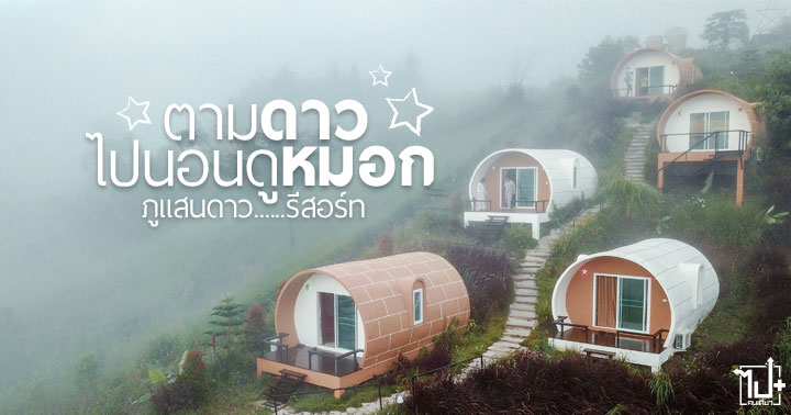ภูแสนดาวรีสอร์ท, ภูแสนดาว, PhuSandaoResort, PhuSandao, Resort, ตามดาวไปนอนดูหมอก, เขาค้อ, เพชรบูรณ์, แคมป์สน, ล่าหมอก, ที่พัก