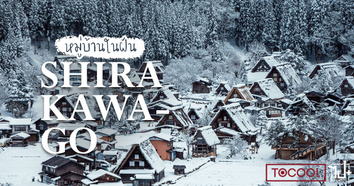 Shirakawago , ToCoo , ToCooRentaCar , ThaiAirways , iflythai , Gifu , Takayama , Nagoya Japan  , หมู่บ้านชิราคาวาโกะ , ชิราคาวาโกะ , เช่ารถเที่ยวญี่ปุ่น , สบายต่างกัน, บินเครื่องใหญ่สบายกว่า , เที่ยวนาโกย่ากับการบินไทย , เมืองมรดกโลก , เมืองมรดกโลกญี่ปุ่น , ญี่ปุ่น ,ที่เที่ยวกิฟุ , ที่เที่ยวทาคายามะ