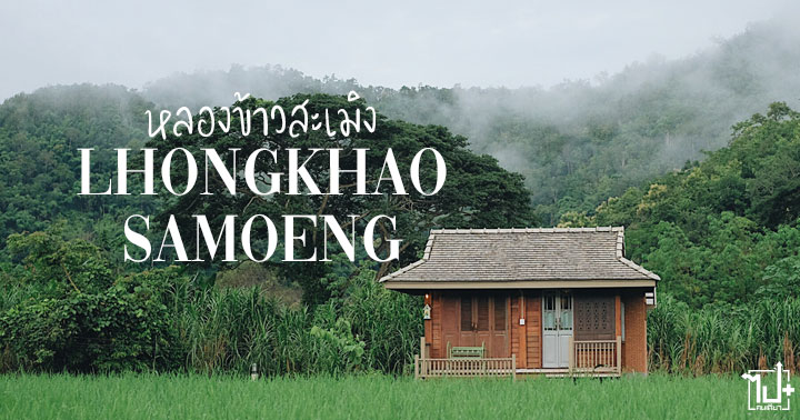 หลองข้าวสะเมิง, หลองข้าว, Lhongkhao, Lhongkhao Samoeng, Samoeng, สะเมิง, ChiangMai, เชียงใหม่, ที่พักทรงยุ้งข้าว, บ้านพักกลางทุ่งนา, ยุ้งข้าว, Drivemate, รถเช่า, เช่ารถ, รถเช่าเชียงใหม่ , ที่พักเชียงใหม่