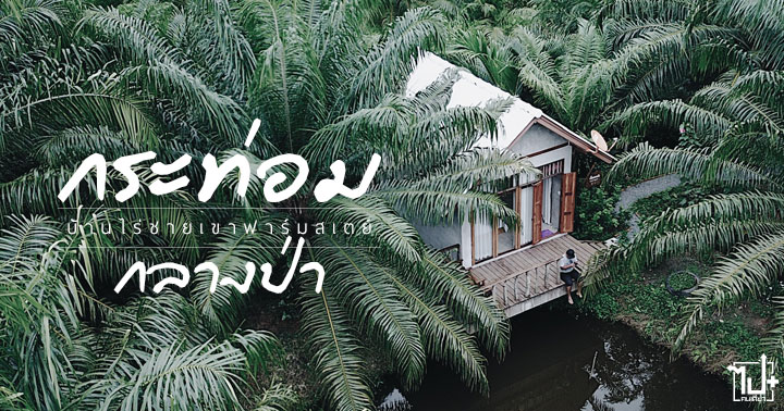 Farmstay, บ้านไร่ชายเขาฟาร์มสเตย์, ฟาร์มสเตย์, นครศรีดี๊ดี, ท่องเที่ยวเชิงเกษตร, ท่องเที่ยวเชิงธรรมชาติ, เชียรใหญ่, นครศรีธรรมราช, เมืองคอน, รีวิวนครศรีธรรมราช, รีวิวที่พัก
