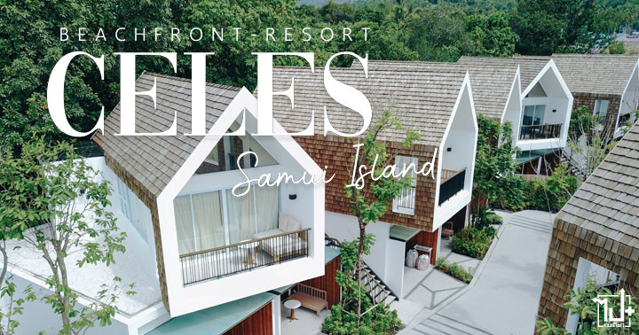 CELES, CELESBeachfrontResort, Samui, KohSamui, สมุย, เกาะสมุย, เกาะ, สุราษฎร์ธานี, ที่พักเกาะสมุย, ที่พักสุราษฎร์ธานี, พูลวิลล่า, สไตล์มินิมอล