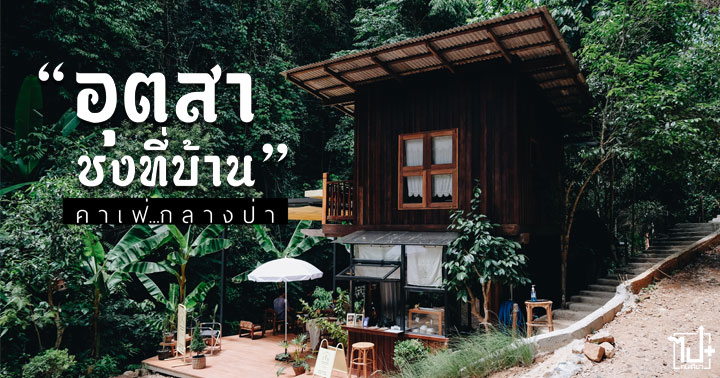 อุตสาชงที่บ้าน, แม่กำปอง, เชียงใหม่, รีวิวเชียงใหม่, คาเฟ่, คาเฟ่เชียงใหม่, รีวิวเชียงใหม่, ร้านน่านั่ง, รถเช่า, เช่ารถเที่ยว, เช่ารถ, Utsahhomebrew, Drivemate, chiangmai, Cafe, reviewchiangmai, cafechiangmai