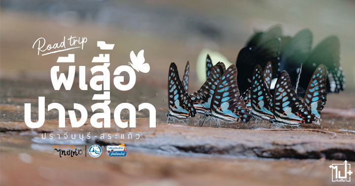 เที่ยวไทยเท่, เที่ยวเมืองไทยสไตล์ไหนก็เท่, tiewthaitay, amazingไทยเท่, อุทยานแห่งชาติปางสีดา, จังหวัดสระแก้ว, สระแก้ว, ที่เที่ยวสระแก้ว, จุดเช็คอินสระแก้ว, ปราจีนบุรี, จุดเช็คอินปราจีนบุรี, คาเฟ่ปราจีนบุรี, RoadTrip