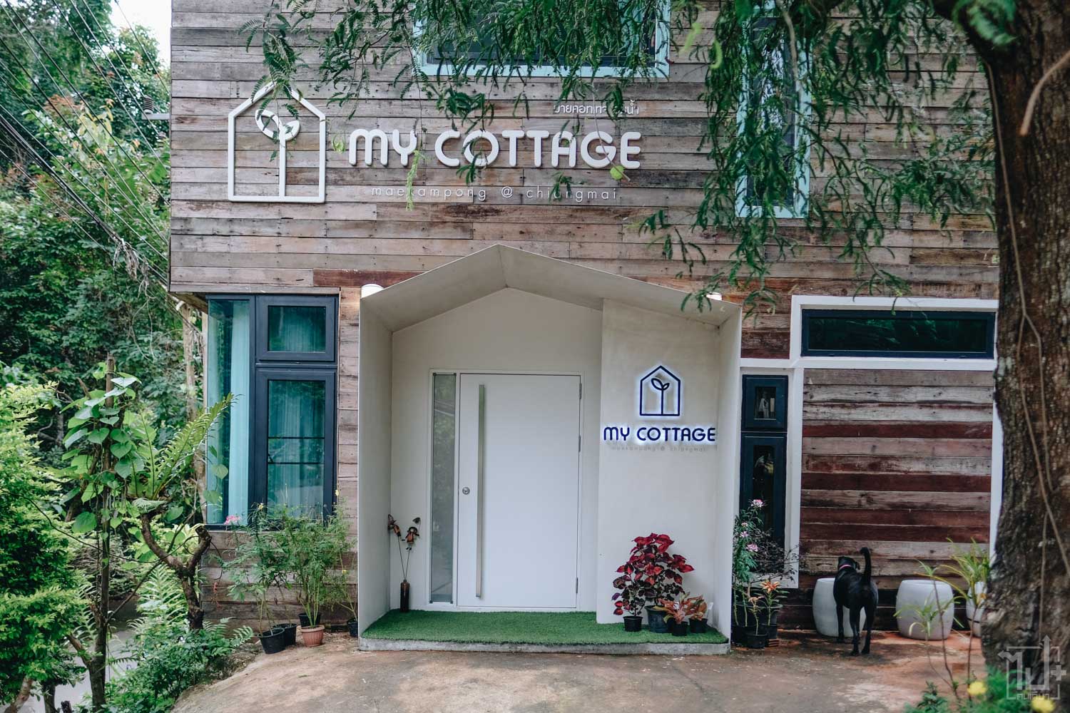 MyCottage ,mealai ,maekampong ,chiangmai ,แม่ลาย ,หมู่บ้านแม่ลาย ,ที่พักสวย ,รีวิวเชียงใหม่ ,แม่กำปอง ,ที่พักเชียงใหม่ ,ที่เที่ยวเชียงใหม่ ,เชียงใหม่