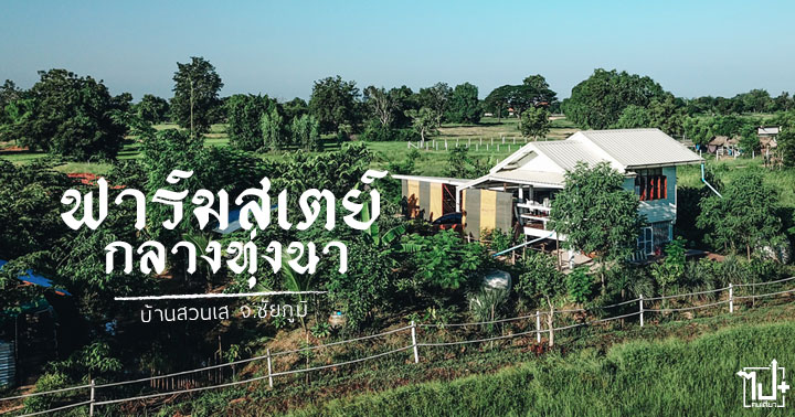 บ้านสวนเส ,เศรษฐกิจพอเพียง ,ฟาร์มสเตย์ ,ฟาร์มสเตย์ชัยภูมิ ,ฟาร์มสเตย์ออแกนิค ,ฟาร์มสเตย์เปิดใหม่ ,รีวิวชัยภูมิ ,ชัยภูมิ ,ที่พักชัยภูมิ ,ที่พักหลักร้อย ,chaiyaphum ,OrganicFarmStay