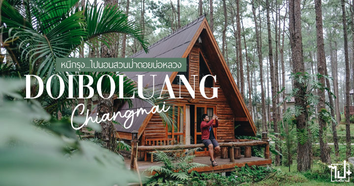 สวนป่าดอยบ่อหลวง ,เชียงใหม่ ,รีวิวเชียงใหม่ ,ป่าสน ,ที่พักเชียงใหม่ ,ที่เที่ยวเชียงใหม่ ,จุดเช็คอินเชียงใหม่ ,ที่พักกลางป่าสน ,ป่าสนเชียงใหม่ ,Drivemate ,รถเช่า ,เช่ารถ ,เช่ารถเชียงใหม่