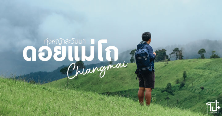 Chiangmai ,DoiMaeTho ,เชียงใหม่ ,รีวิวเชียงใหม่ ,ทุ่งหญ้าสะวันนาแม่โถ ,ดอยแม่โถ ,ที่เที่ยวเชียงใหม่ ,จุดเช็คอินเชียงใหม่ ,Drivemate ,รถเช่า ,เช่ารถ ,เช่ารถเชียงใหม่ ,AmericanTourister ,Trigard ,ReviewAmericanTourister