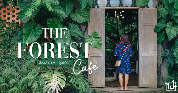 TheForest ,สวนป่าคาเฟ่ ,สวนป่า ,คาเฟ่ในป่า ,อุตรดิตถ์ ,ร้านน่านั่ง ,รีวิวคาเฟ่ ,รีวิวอุตรดิตถ์