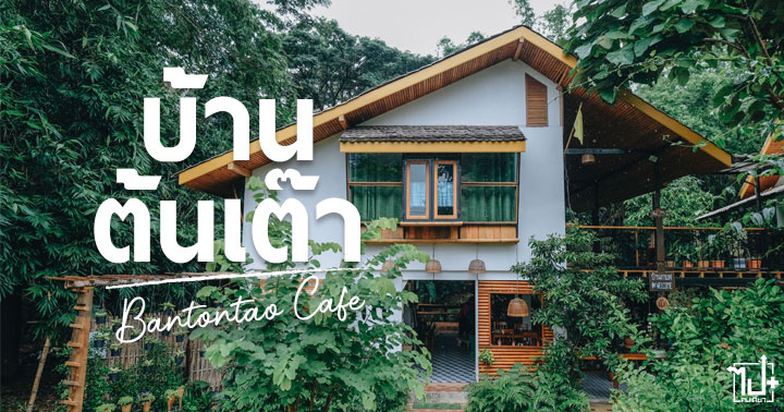 บ้านต้นเต๊า ,คาเฟ่น่ารัก ,คาเฟ่พะเยา ,รีวิวคาเฟ่ ,ร้านน่านั่ง ,พะเยา ,ที่เที่ยวพะเยา ,รีวิวพะเยา ,Phayao ,ReviewPhayao
