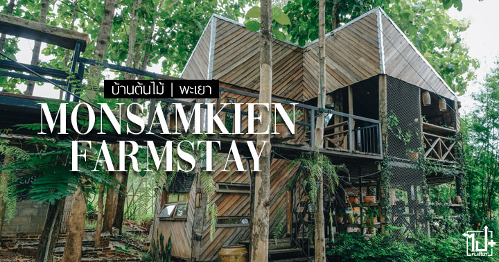 บ้านต้นไม้พะเยา , บ้านต้นไม้ , ฟาร์มสเตย์ , ม่อนสามเคียน , ที่พักพะเยา, พะเยา , ที่เที่ยวพะเยา , รีวิวพะเยา , MonsamkienFarmstay , Farmstay , Phayao , ReviewPhayao