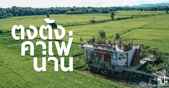 ตงต้งคาเฟ่ ,เวียงสา ,คาเฟ่เวียงสา ,คาเฟ่กลางทุ่งนา ,คาเฟ่น่าน ,รีวิวน่าน ,น่าน ,ร้านน่านั่ง