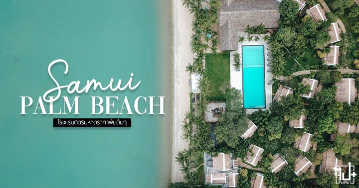 SamuiPalmBeachResort ,Samui ,KohSamui ,สมุยปาล์มบีช ,สมุย ,เกาะสมุย ,สุราษฎร์ธานี ,ที่พักเกาะสมุย ,ที่พักสุราษฎร์ธานี ,รีวิวสมุย ,รีวิวสุราษฎร์ธานี