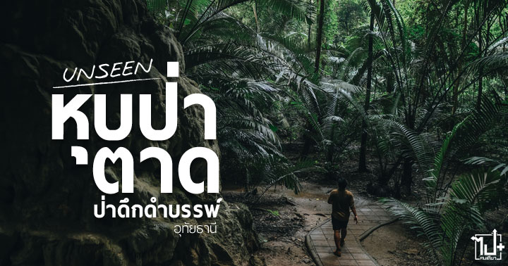 หุบป่าตาด ,ป่าดึกดำบรรพ์ ,ลานสัก ,อุทัยธานี ,ที่เที่ยวอุทัยธานี ,รีวิวอุทัยธานี ,อันซีนอุทัยธานี ,Unseenอุทัยธานี ,Uthaithani ,ReviewUthaithani ,Huppatat