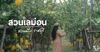 สวนเลมอน ,สวนเลมอนใกล้กรุง ,เลมอน ,พสุธารา ,รีวิวสวนผึ้ง ,รีวิวราชบุรี ,แลนด์มาร์คราชบุรี ,ที่เที่ยวสวนผึ้ง ,ที่เที่ยวราชบุรี ,Ratchaburi ,SuanPhueng ,Pasutara ,Lamon