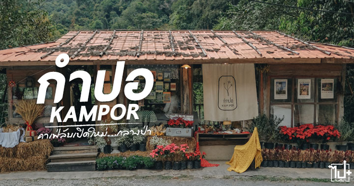 กำปอ ,ร้านกำปอ ,บ้านแม่ลาย ,แม่ออน ,ร้านน่านัง ,ที่เที่ยวเชียงใหม่ ,ที่เที่ยวแม่ลาย ,คาเฟ่แม่ลาย ,คาเฟ่เชียงใหม่ ,kamPor ,Chiangmai ,BanMaeLai ,MaeOn