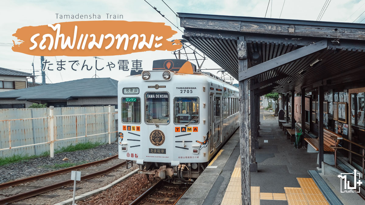 รถไฟสายเหมียว, ทาสเหมียว, ทาสแมว, รถไฟสายเหมียวทามะ, ทามะจัง, เที่ยวญี่ปุ่น, รีวิวญี่ปุ่น, ญี่ปุ่น, คิดถึงญี่ปุ่น, ไปกันเจเแปน , Wakayama, WakayamaStation, TamadenshaTrain, KishiStation, KishigawaLine, Japan