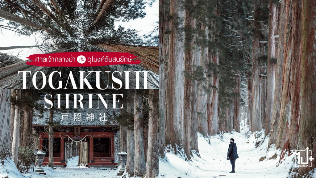 Togakushi, TogakushiShrine, Nagano, Japan, ศาลเจ้าโทกะคุชิ, ศาลเจ้า, ญี่ปุ่น, ที่เที่ยวญี่ปุ่น, ที่เที่ยวนางาโนะ, นางาโนะ