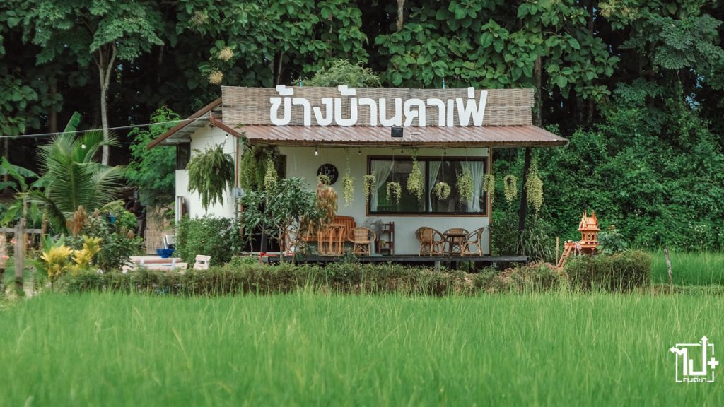ข้างบ้านคาเฟ่, คาเฟ่กลางทุ่งนา, วิวทุ่งนา, รีวิวคาเฟ่น่าน, ท่าวังผา, รีวิวน่าน, ที่เที่ยวน่าน, ร้านน่านั่ง, ReviewCafeNan, nan