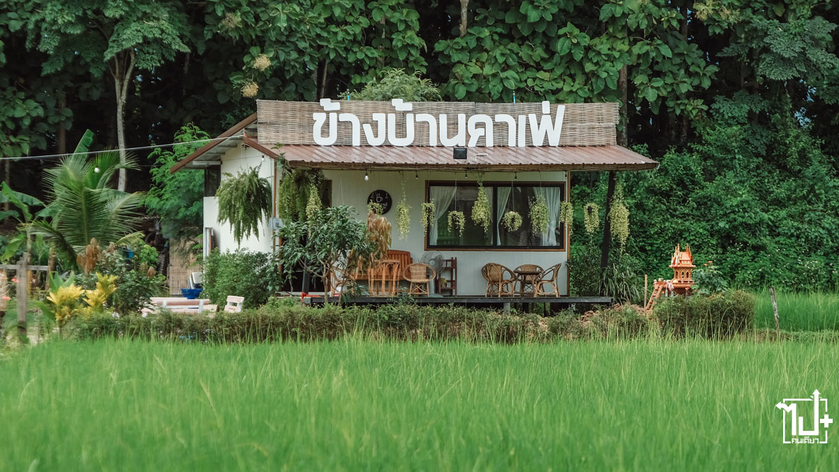 ข้างบ้านคาเฟ่, คาเฟ่กลางทุ่งนา, วิวทุ่งนา, รีวิวคาเฟ่น่าน, ท่าวังผา, รีวิวน่าน, ที่เที่ยวน่าน, ร้านน่านั่ง, ReviewCafeNan, nan