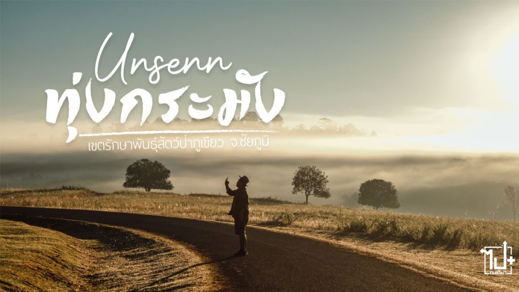 ทุ่งกะมัง, ดูกวางทุ่งกะมัง, เขตรักษาพันธุ์สัตว์ป่าภูเขียว, แลนค์มาร์คชัยภูมิ, จุดเช็คอินชัยภูมิ, รีวิวชัยภูมิ, ที่เที่ยวชัยภูมิ , คอนสาร, ชัยภูมิ