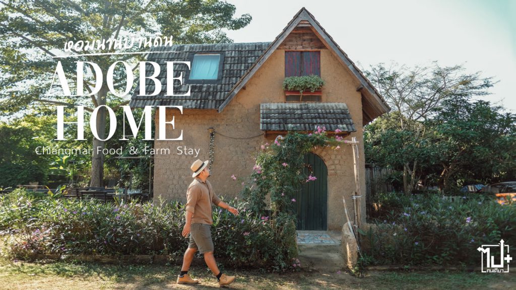 หอมนานบ้านดิน, บ้านดิน , บ้านดินเชียงใหม้ , ที่พักบ้านดิน , สารภี , เชียงใหม่, ที่พักสารภี, ที่พักเชียงใหม่ , ฟาร์มสเตย์ , คาเฟ่เชียงใหม่ , รีวิวเชียงใหม่ , ร้านน่านั่ง, จุดเช็คอินเชียงใหม่, เชียงใหม่กินไรดี, หมาพักได้ , ที่พักหมาพักได้, ที่พักหมาพักได้เชียงใหม่, AdobeHomeChiangmai, Chiangmai, CNX , FarmStay