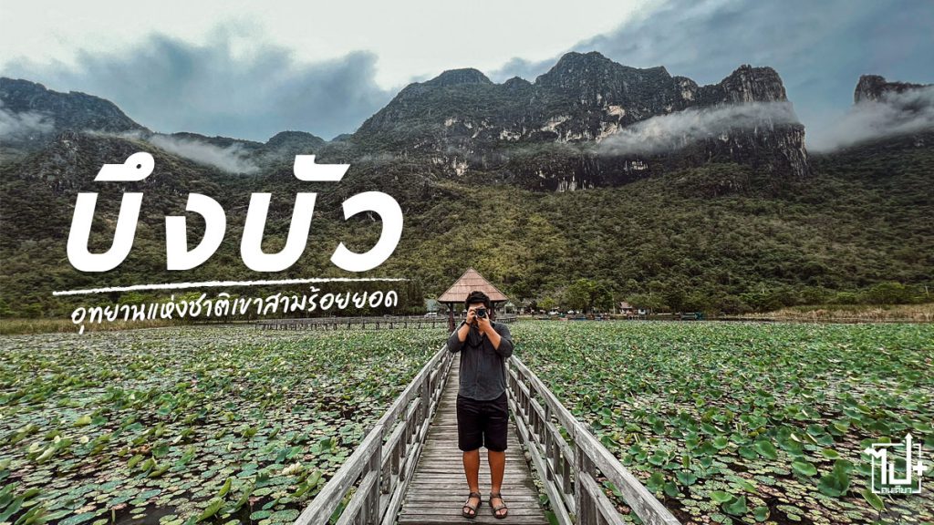 บึงบัวอุทยานแห่งชาติเขาสามร้อยยอด, อุทยานแห่งชาติเขาสามร้อยยอด, เขาสามร้อยยอด, ประจวบคีรีขันธ์, ประจวบ , Prachuapkhirikhan