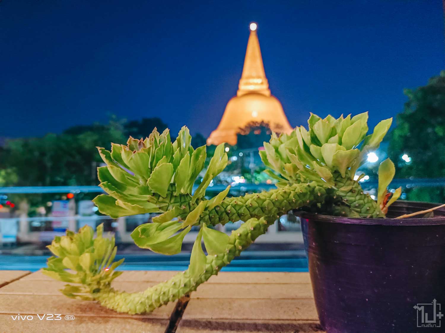 นครปฐม , ที่เที่ยวนครปฐม , รีวิวนครปฐม , คาเฟ่นครปฐม , แลนด์มาร์คนครปฐม ,วัดนครปฐม ,คมชัดทุกโมเมนต์ที่เป็นคุณ , vivoV235G , V235G , vivo , VSeries , vivoV23Series , IslandBlue , vivoV235Gxpaikondieow , Nakhonpathom
