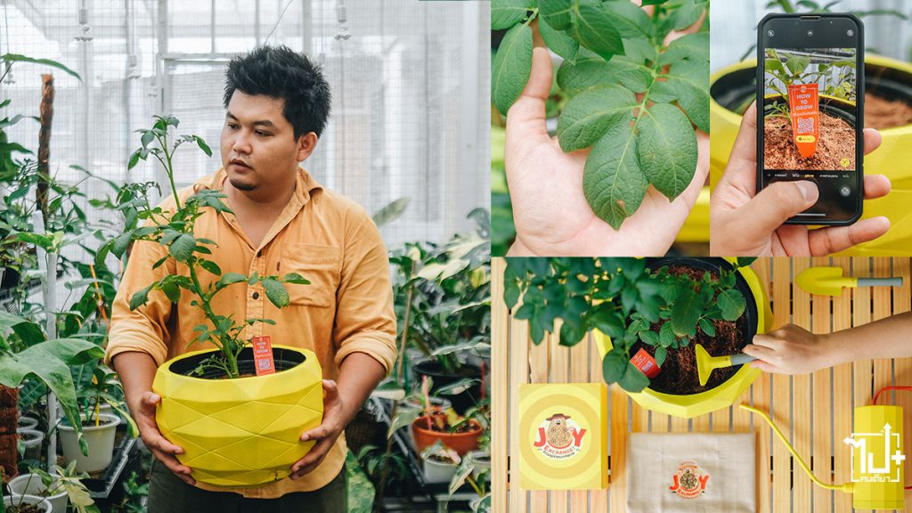 GrowYourJoy , เลย์แลกสุขส่งตรงจากฟาร์ม , LaysJoyExchange