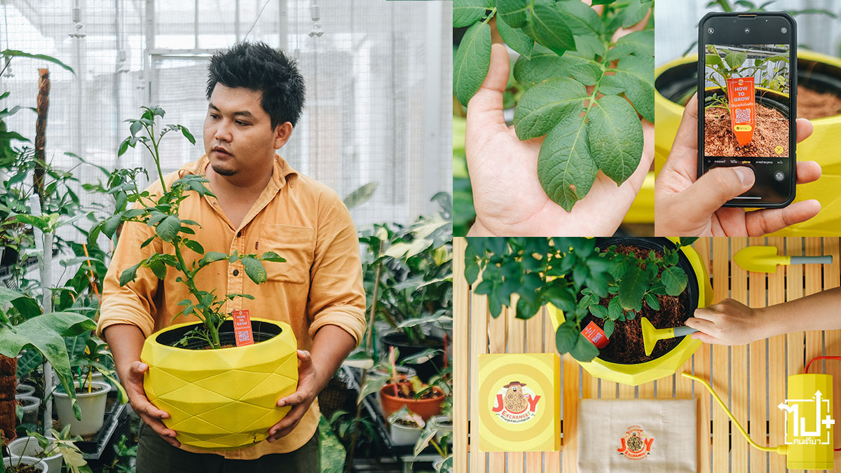 GrowYourJoy , เลย์แลกสุขส่งตรงจากฟาร์ม , LaysJoyExchange