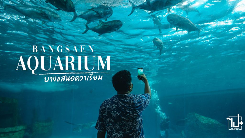 Bangsaen , Aquarium , Museum