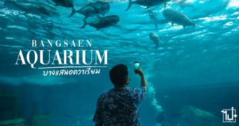 Bangsaen , Aquarium , Museum