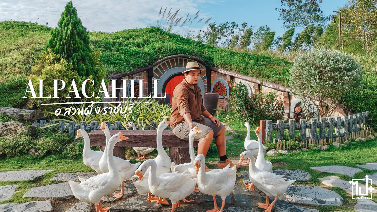 Ratchaburi, SuanPhueng, ReviewRatchaburi, ReviewSuanPhueng, AlpacaHill, ที่เที่ยวราชบุรี, รีวิวราชบุรี, สวนผึ้ง, ที่เที่ยวสวนผึ้ง, รีวิวสวนผึ้ง, ราชบุรี, สายภูเขา, หลงรักเขา, ถ่ายรูปกับห่าน , คาปิบารา , Capybara