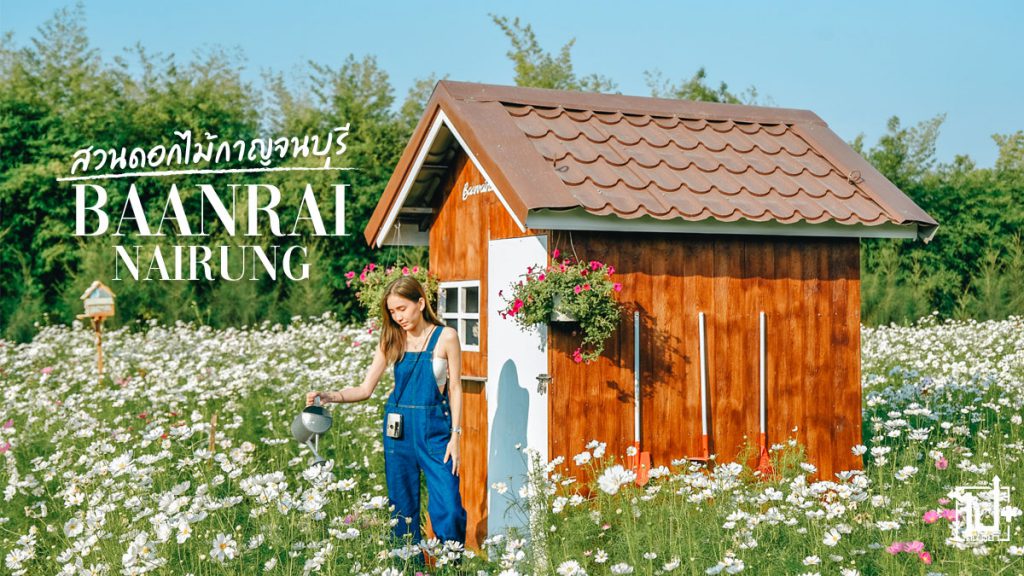 บ้านไร่นายรุ่ง, ด่านมะขามเตี้ย, กาญจนบุรี, baanrainairung, kanchanaburi, เที่ยวกาญจนบุรี, สวนดอกไม้กาญจนบุรี