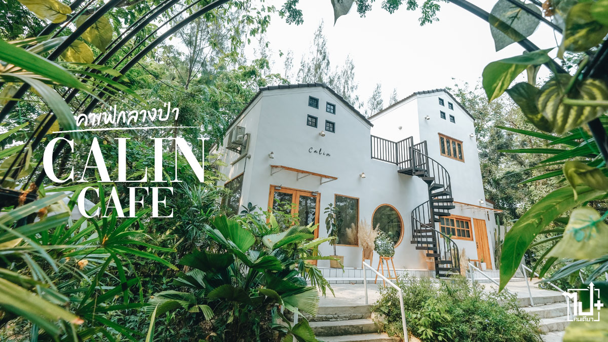 CalinCafe, คาลินคาเฟ่, คาเฟ่นครปฐม, คาเฟ่กลางป่า, นครชัยศรี, รีวิวนครปฐม, ที่เที่ยวนครปฐม, นครปฐม