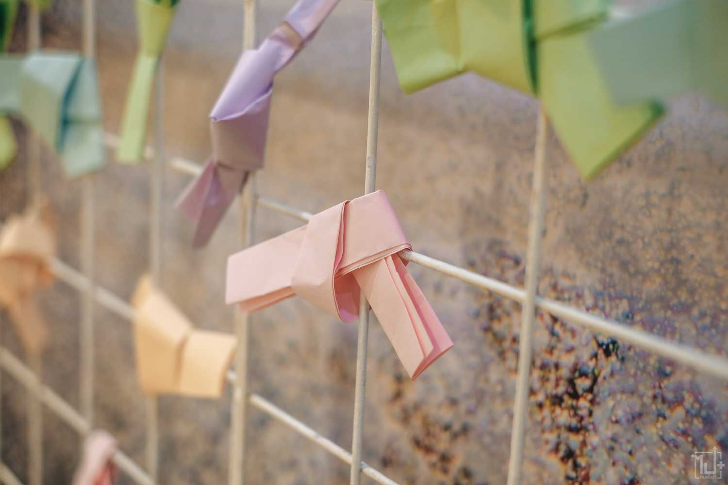 เที่ยวเกาหลี, เกาหลี, LoveKorea,KTOThailand, ImagineYourKorea,TraveltoKoreaBeginsAgain,OurHeartsareAlwaysOpen,LoveKorea2022 #LoveKorea