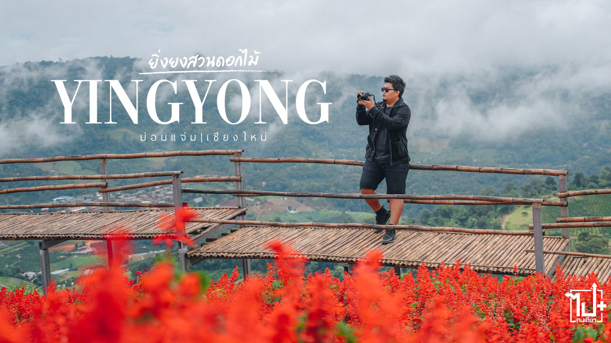 ยิ่งยงสวนดอกไม้, สวนดอกไม้, สวนดอกไม้ม่อนแจ่ม, สวนดอกไม้แม่ริม, สวนดอกไม้เชียงใหม่, คาเฟ่เชียงใหม่ , ม่อนแจ่ม, แม่ริม, เชียงใหม่, ที่เที่ยวเชียงใหม่, รีวิวเชียงใหม่, yingyong, Chiangmai , CNX, ReviewChiangmai