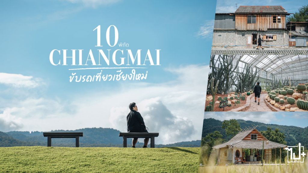 สวนดอกไม้, สวนดอกไม้ม่อนแจ่ม, สวนดอกไม้แม่ริม, สวนดอกไม้เชียงใหม่, คาเฟ่ม่อนแจ่ม, คาเฟ่เชียงใหม่, ที่พักเชียงใหม่ , ที่เที่ยวเชียงใหม่, รีวิวเชียงใหม่, ม่อนแจ่ม, แม่ริม , เชียงใหม่, Monjam , Mearim, Chiangmai, CNX, ReviewChiangmai, drivemate