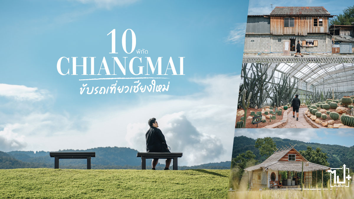 สวนดอกไม้, สวนดอกไม้ม่อนแจ่ม, สวนดอกไม้แม่ริม, สวนดอกไม้เชียงใหม่, คาเฟ่ม่อนแจ่ม, คาเฟ่เชียงใหม่, ที่พักเชียงใหม่ , ที่เที่ยวเชียงใหม่, รีวิวเชียงใหม่, ม่อนแจ่ม, แม่ริม , เชียงใหม่, Monjam , Mearim, Chiangmai, CNX, ReviewChiangmai, drivemate