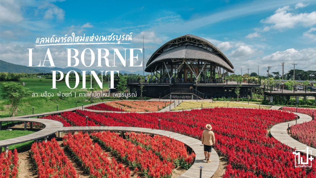 ลาบล็องพ้อยท์, คาเฟ่เพชรบูรณ์, คาเฟ่ดอกไม้, รีวิวคาเฟ่เพชรบูรณ์ , คาเฟ่เปิดใหม่, ที่เที่ยวเพชรบูรณ์, เพชรบูรณ์ , Labornepoint , ArabicaKhaokho,Petchabun