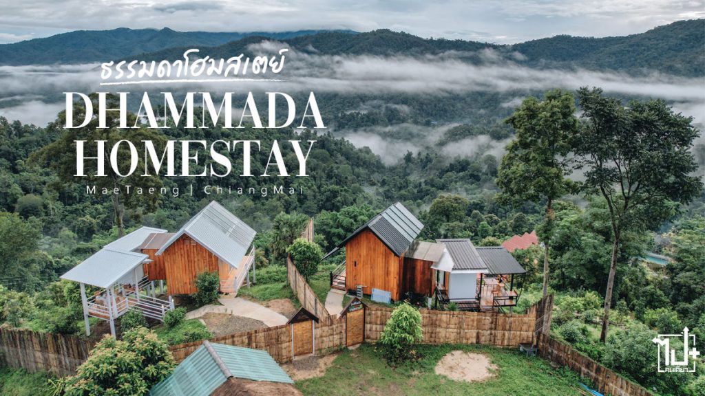 บ้านทางช้างเผือก, ​ธรรมดาโฮมสเตย์, ​ที่เที่ยวแม่แตง, ​ที่เที่ยวเชียงใหม่, ​รีวิวเชียงใหม่, ​ที่พักแม่แตง, ​ที่พักเชียงใหม่, ​โฮมสเตย์แม่แตง, ​โฮมสเตย์เชียงใหม่, ​แม่แตง, ​เชียงใหม่, ​ที่พักหมาพักได้ , ​Dhammada , ​Dhammadahomestay, ​homestay, ​HomestayMaetaeng, Maetaeng, Chiangmai, CNX, ReviewChiangmai, PetFriendly