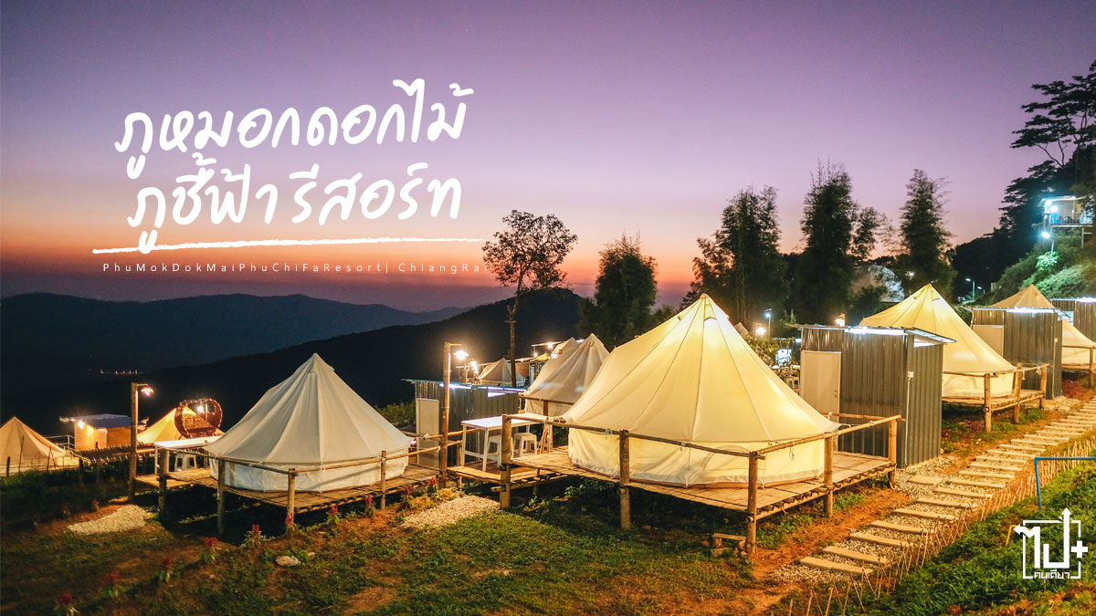 ภูหมอกดอกไม้ภูชี้ฟ้ารีสอร์ท, ภูหมอกดอกไม้, ที่พักเชียงราย, เต็นท์กระโจมภูชี้ฟ้า, ที่พักภูชี้ฟ้า, ภูชี้ฟ้า, เชียงราย, PhuMokDokMaiPhuChiFaResort, Phuchifa, ChiangRai