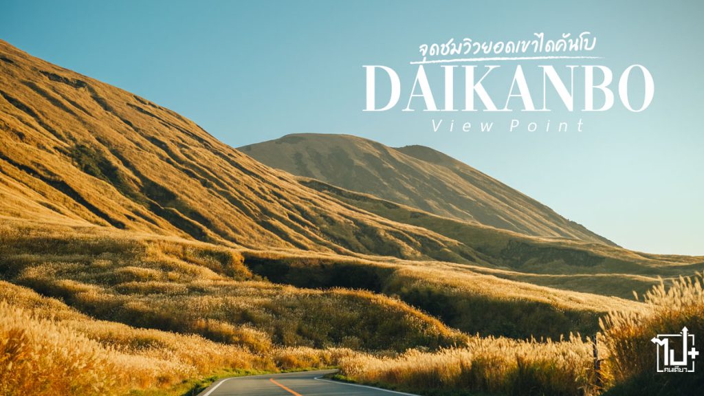 DaikanboViewPoint, Aso #Kumamoto, Kuju, JerseyCow, คุมาโมโต้, จุดชมวิวยอดเขาไดคันโบ, ซอฟครีม